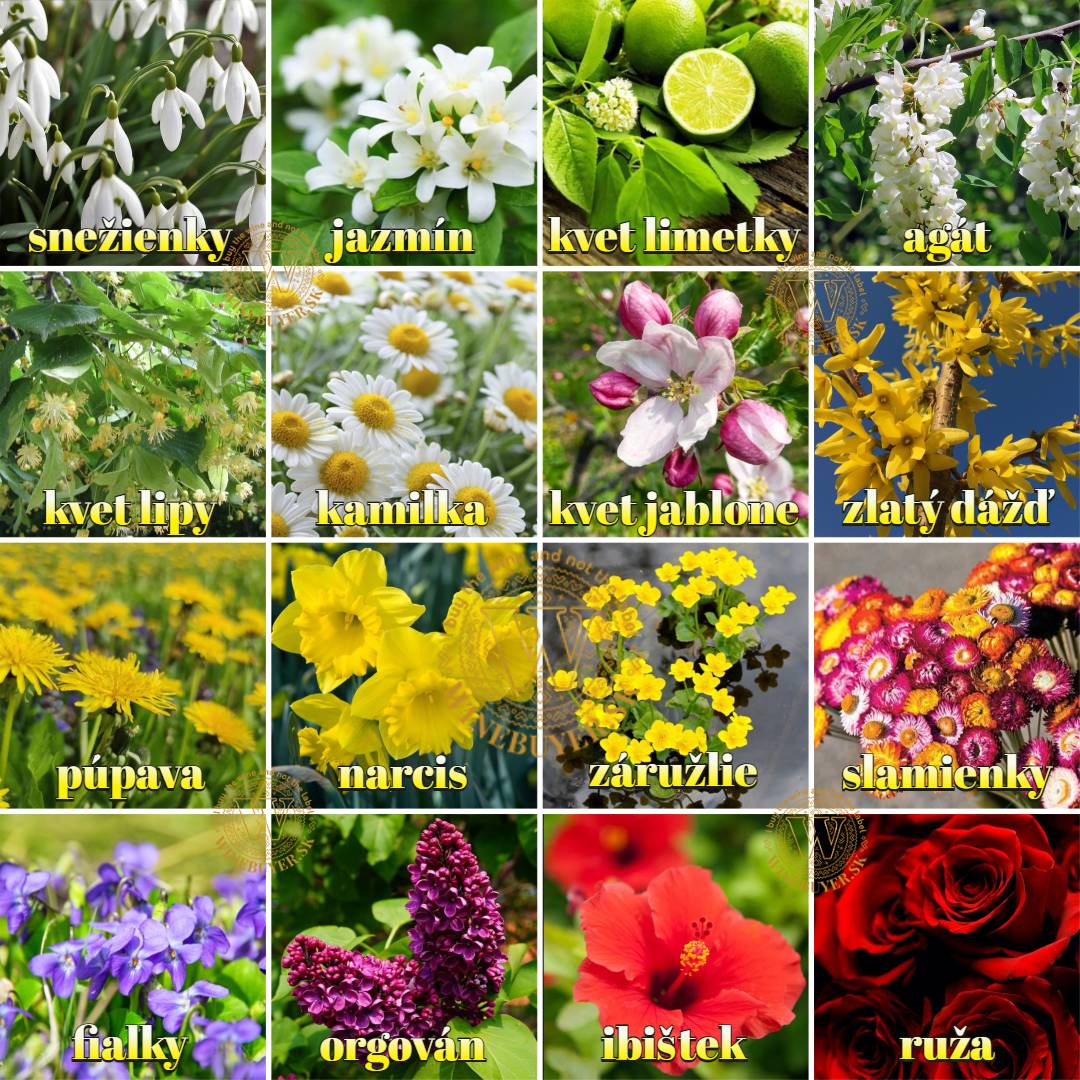 Flavours 1080_1 floral